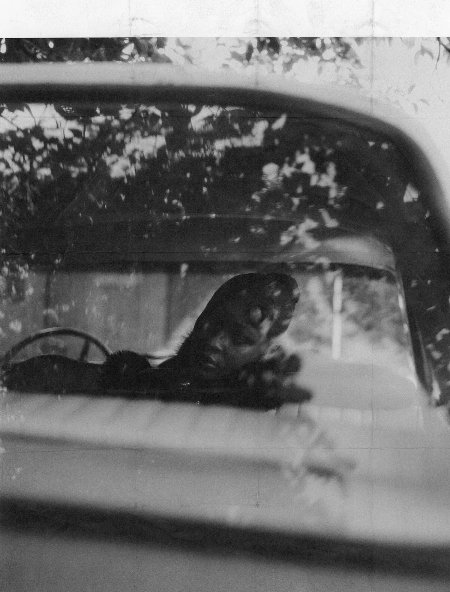 DIGITAL PRINT SCAN9.jpg