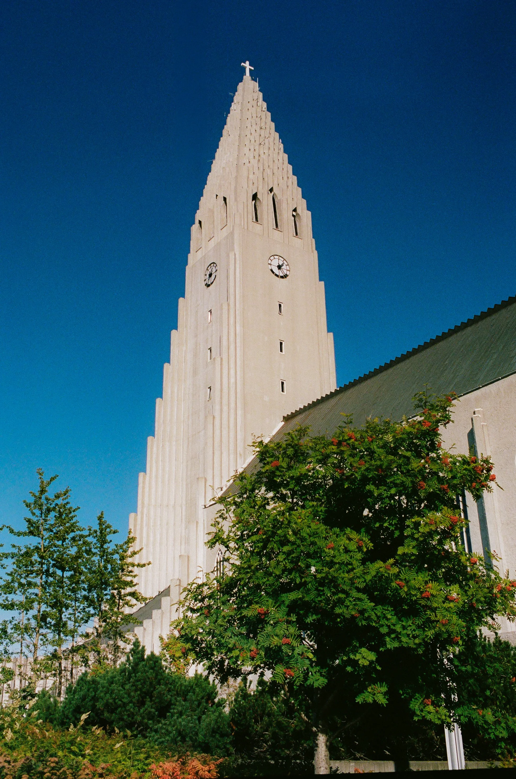 iceland51.jpg