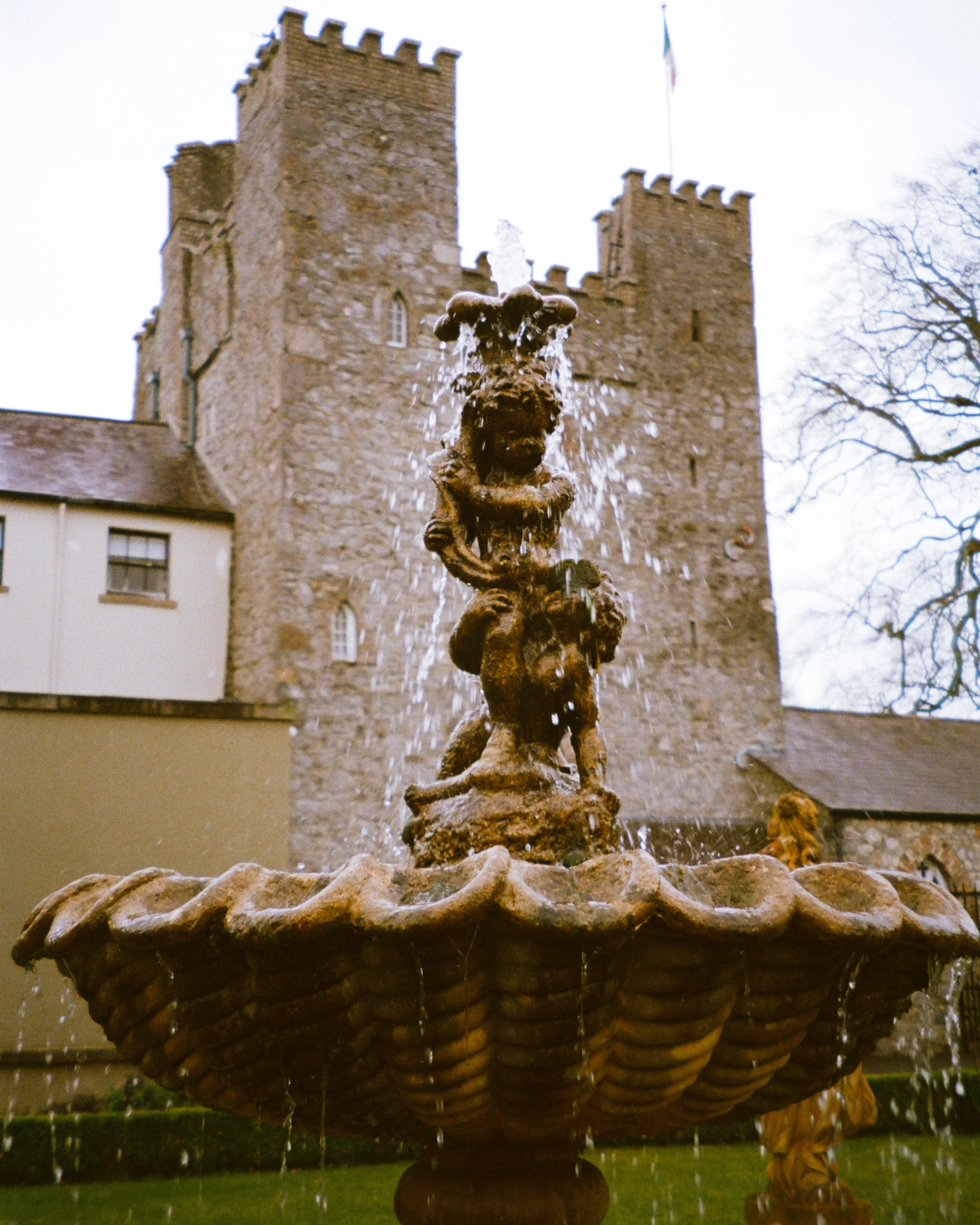 dublinfilmfinals65.jpg