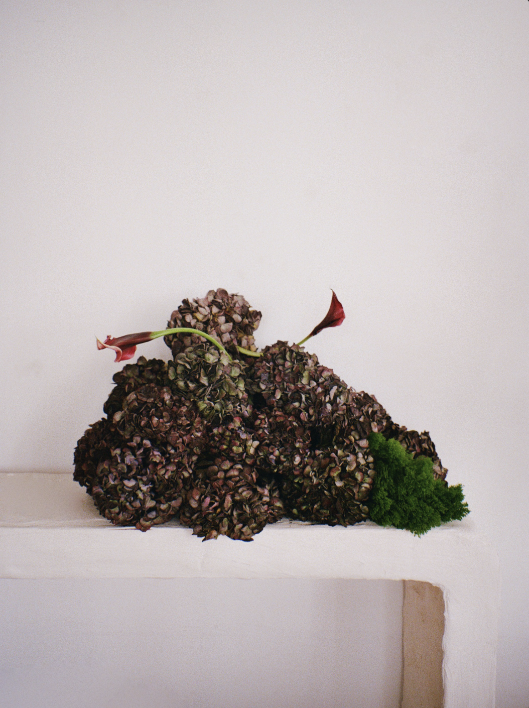 Screenshot 2026-02-09 at 5.53.47 PM.png