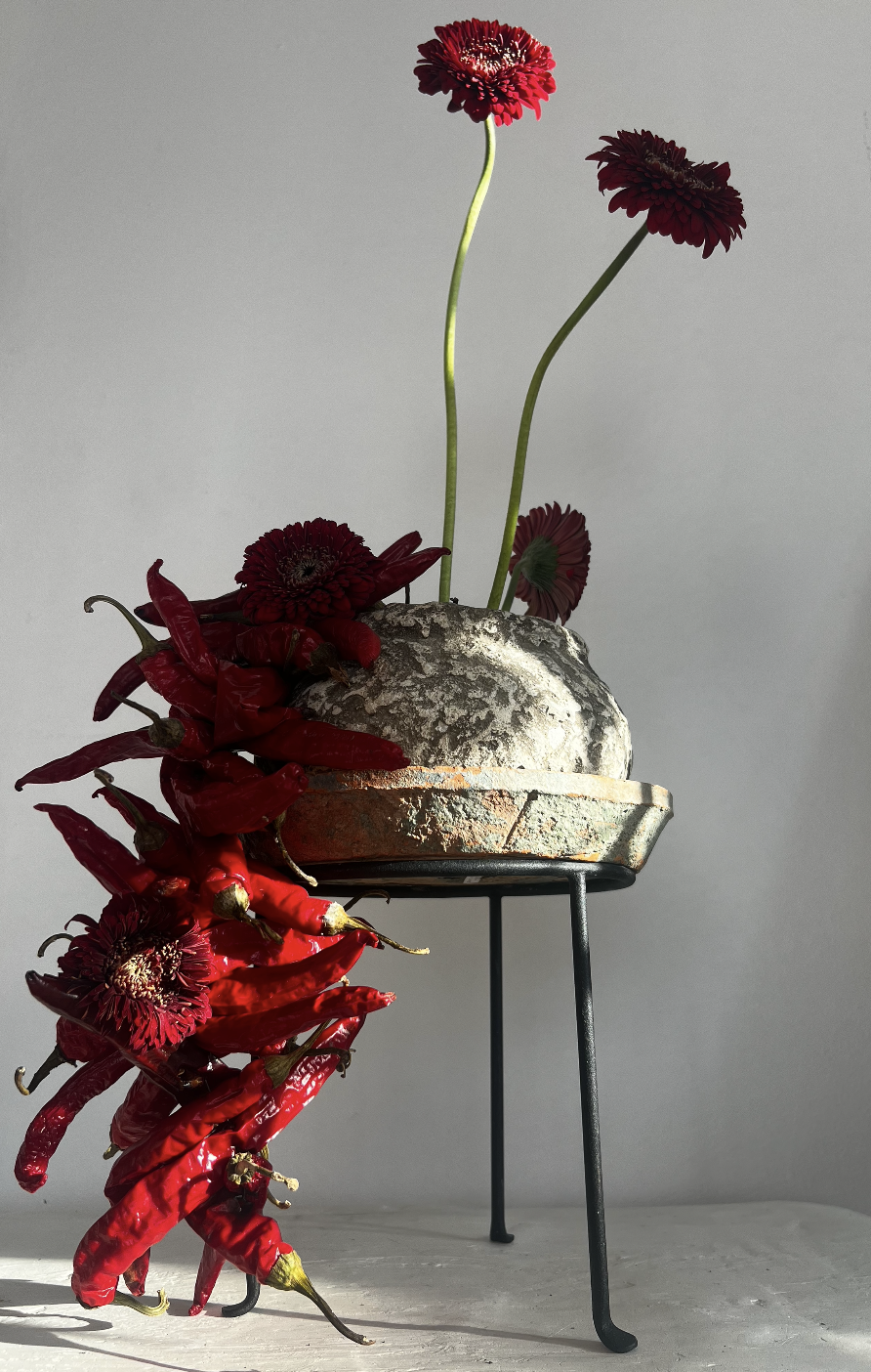 Screenshot 2026-02-10 at 3.06.51 AM.png