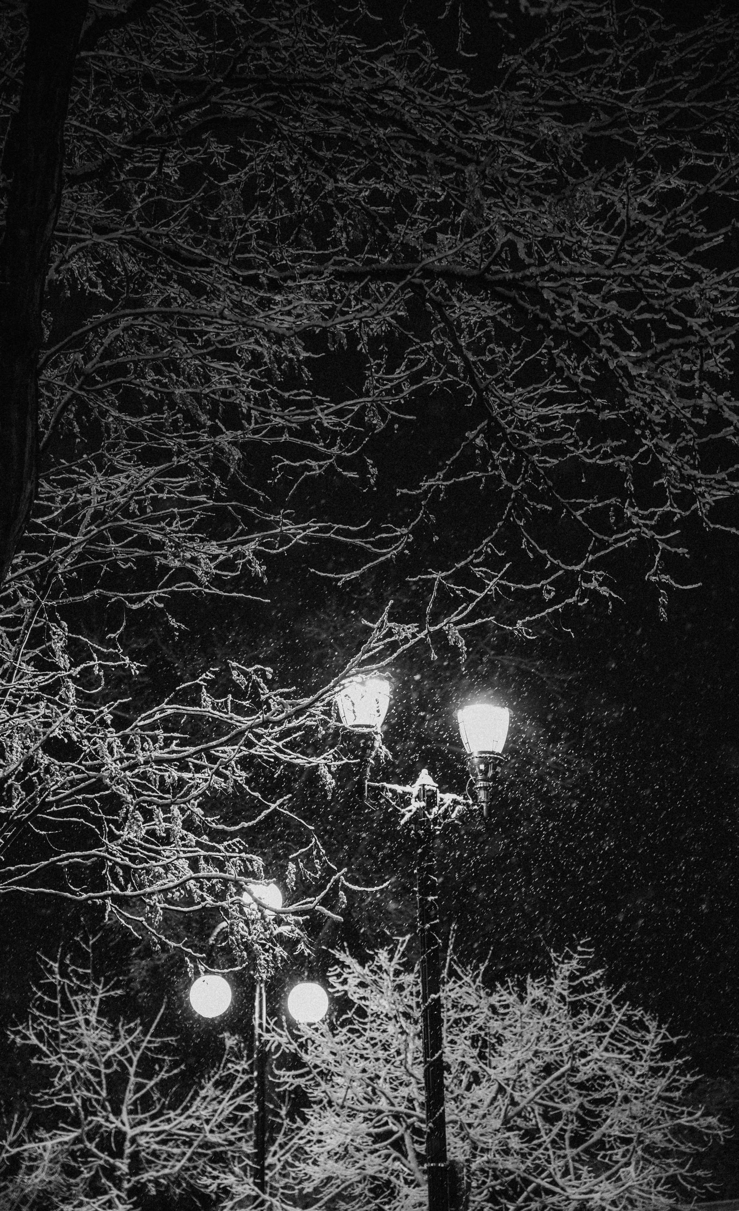 Old Colorado City Photographer Colorado Springs