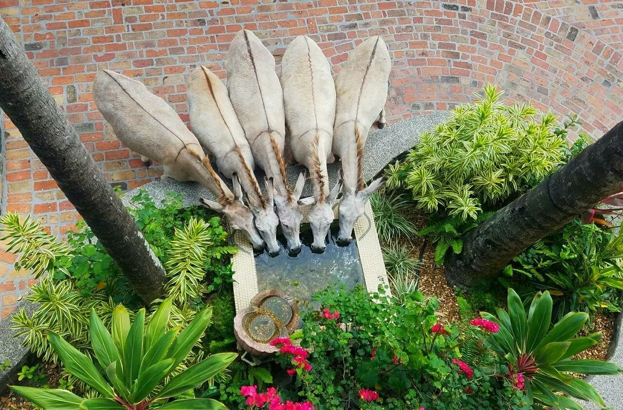 DonekyHappyHour 2.jpeg