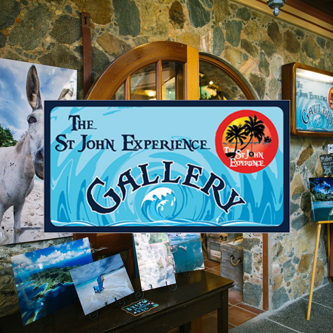 Interactive Photography Gallery.