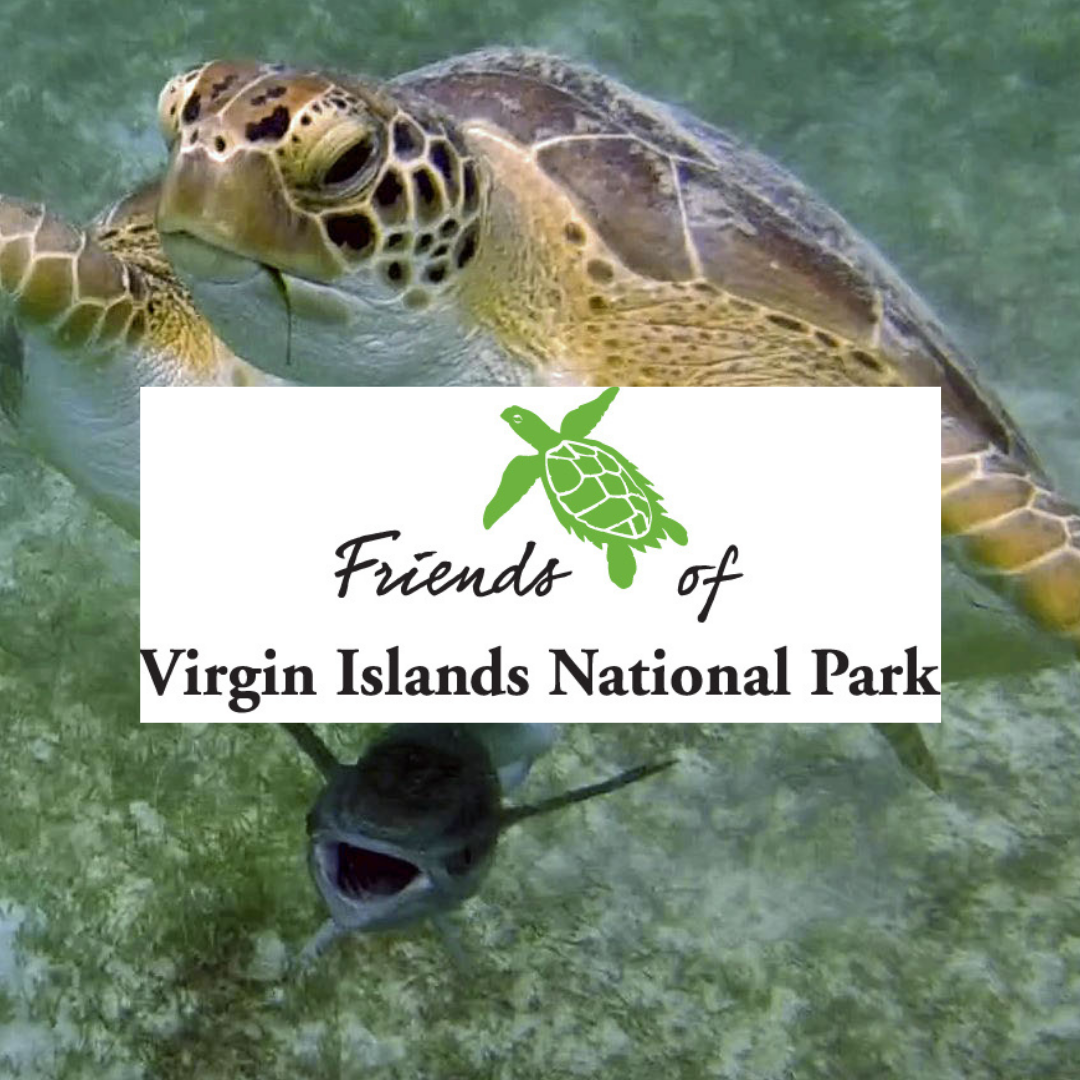 Explore & Support Virgin Islands National Park