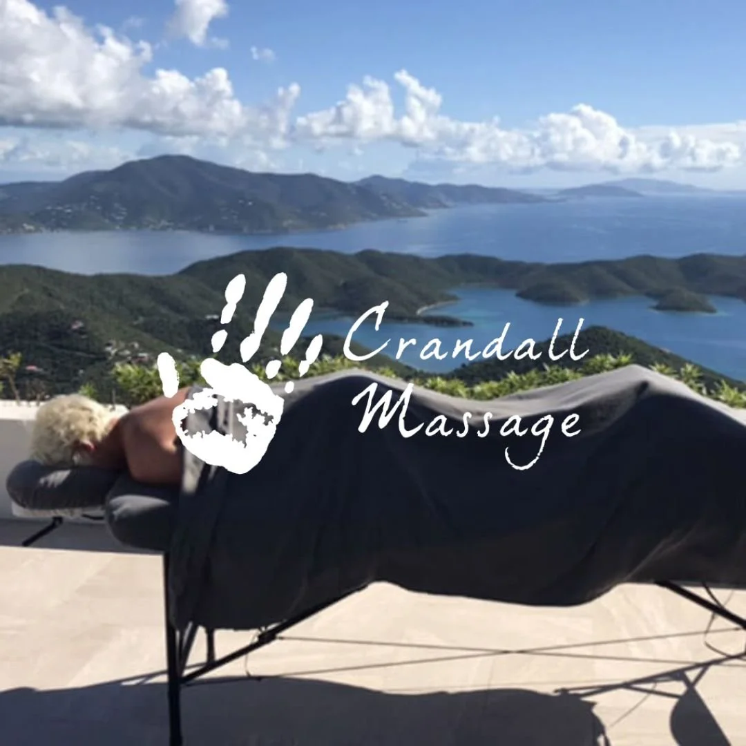 The Massage Your Body Kneads