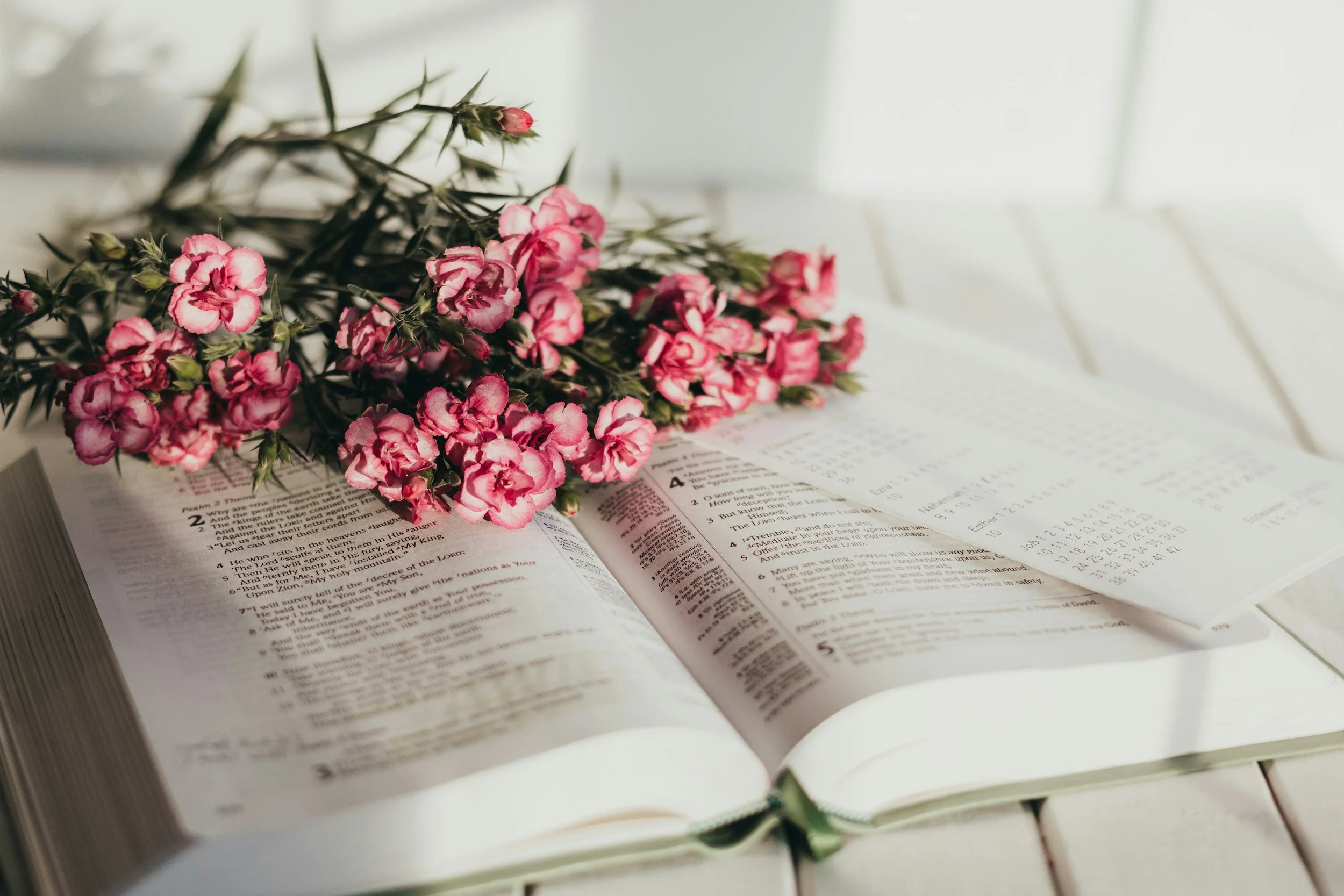 Open Bible with pink flowers on top, resting on a white surface near a window.