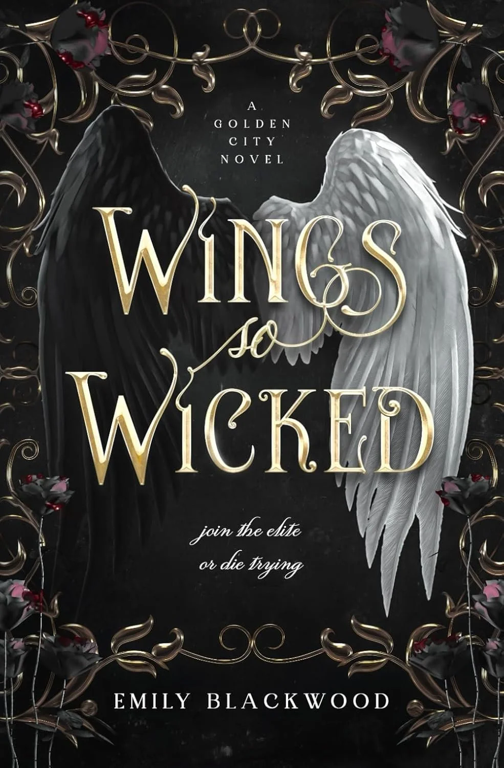 Wings of Wicked (Paperback)