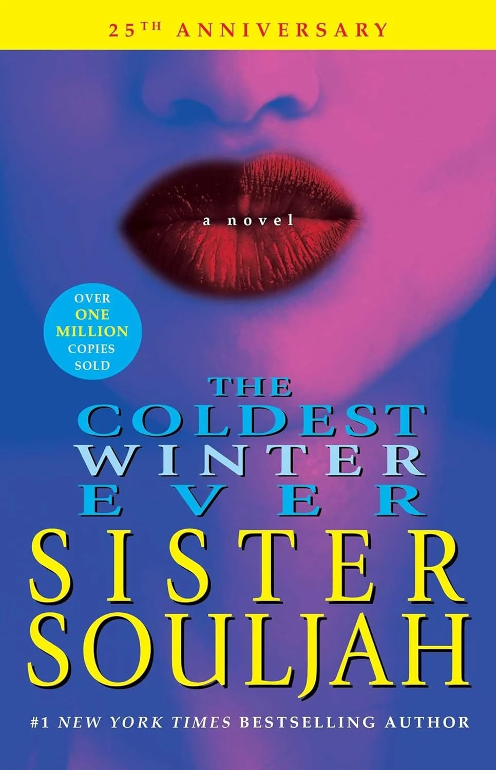 The Coldest Winter Ever (Paperback)