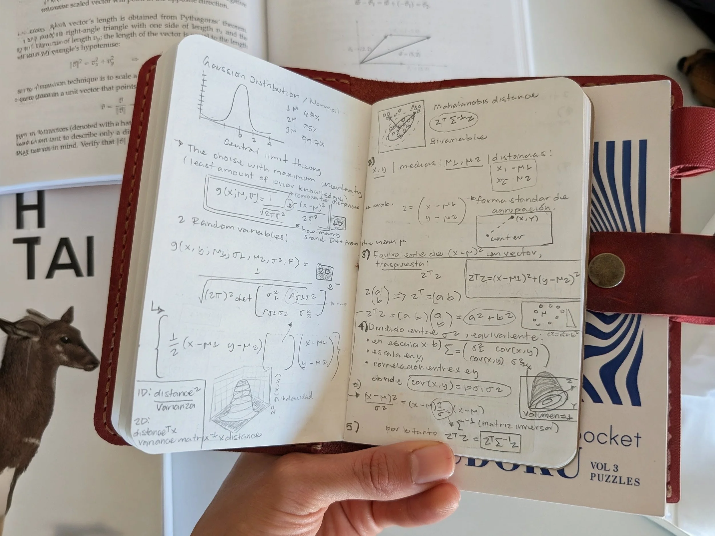 True Emptiness, Wondrous Being