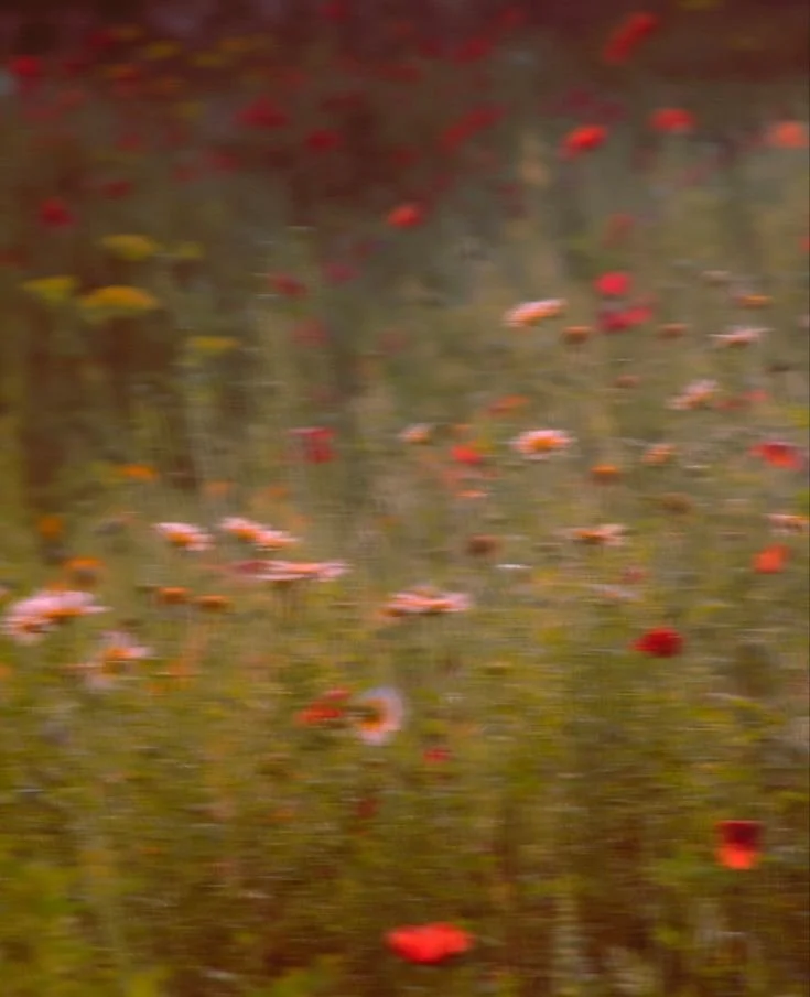 Ache: A Poem About Chronic Pain
