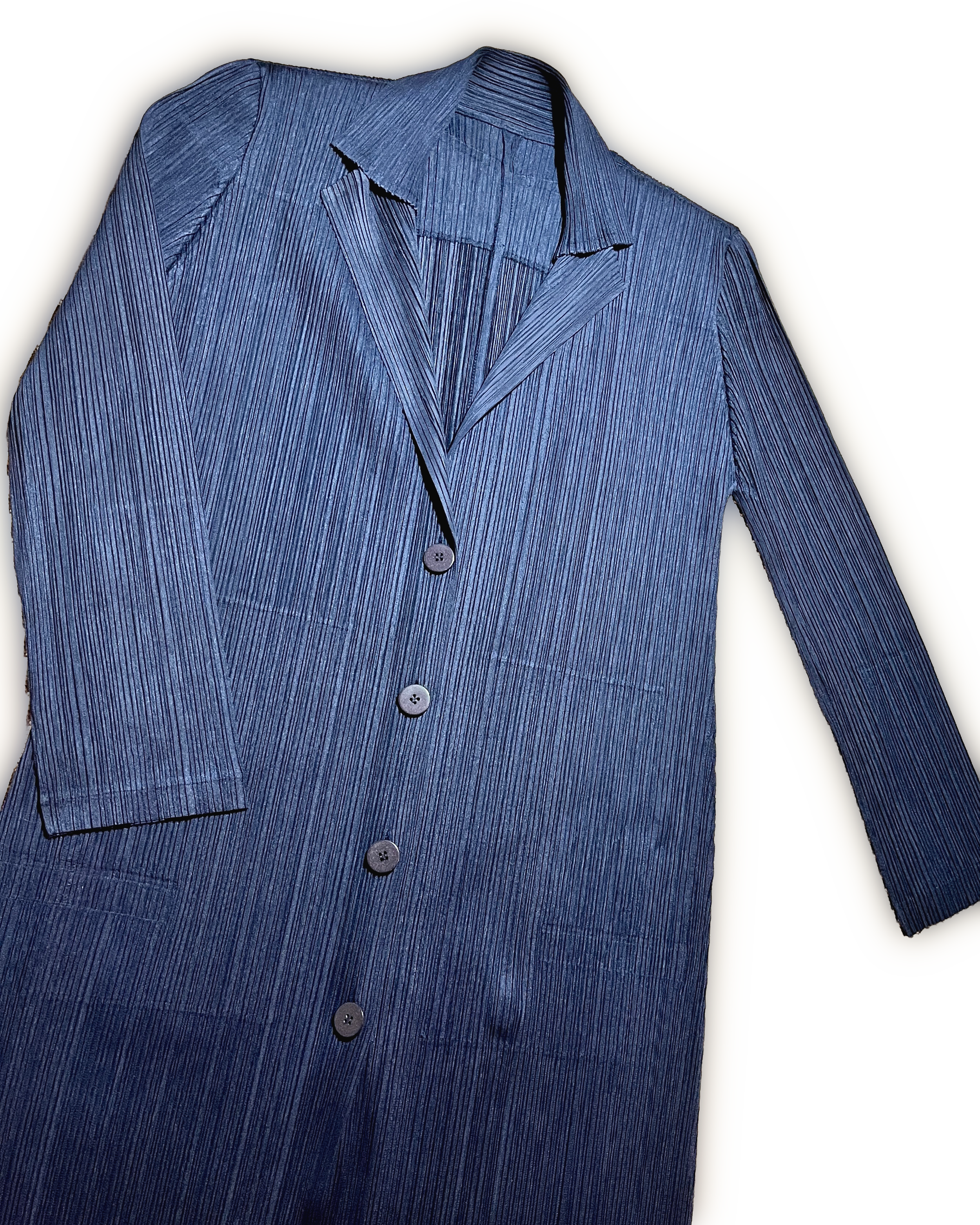 issey miyake coat 1_.png
