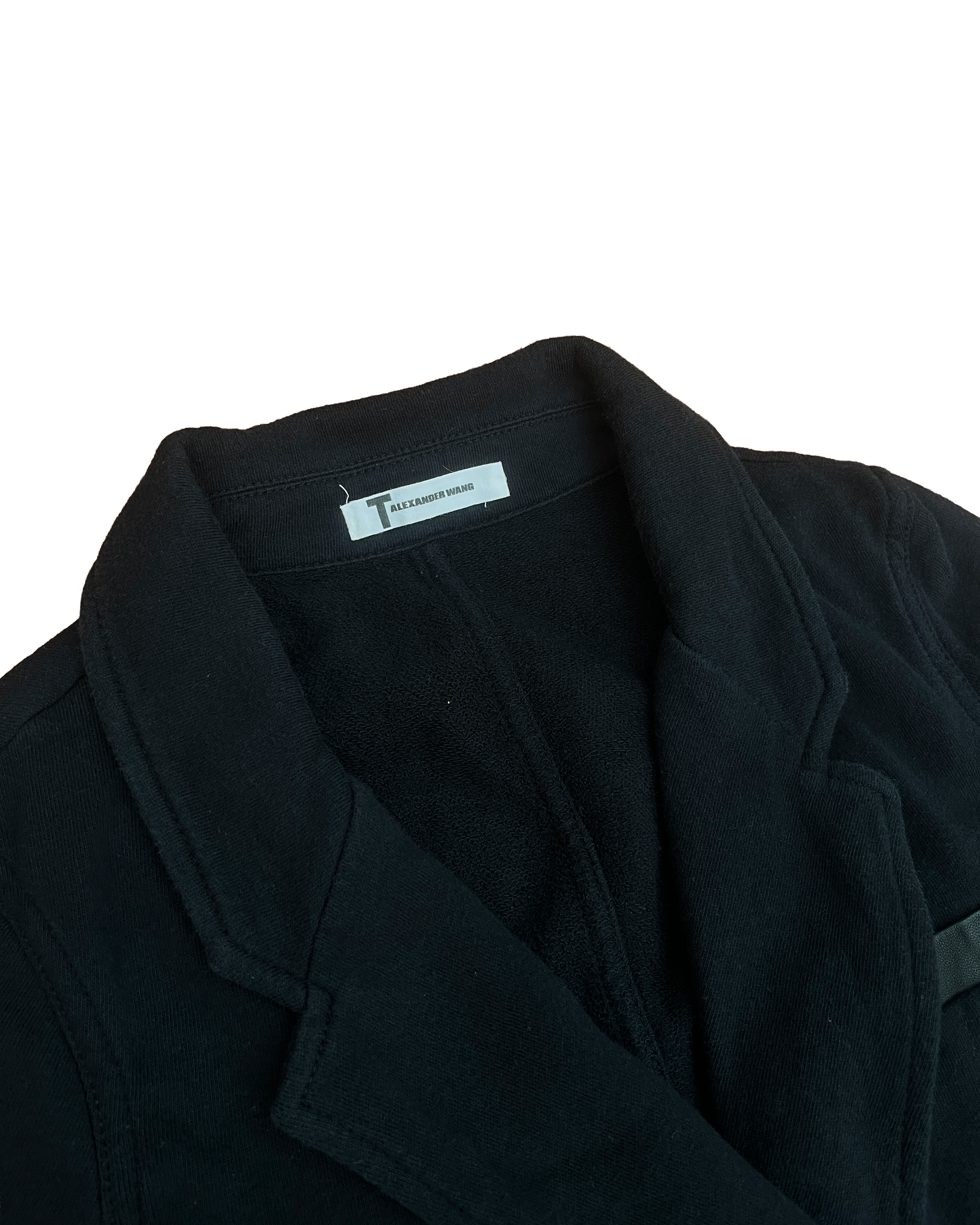 alexander wang 4.png