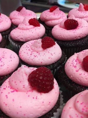 cupcakepic1.jpg