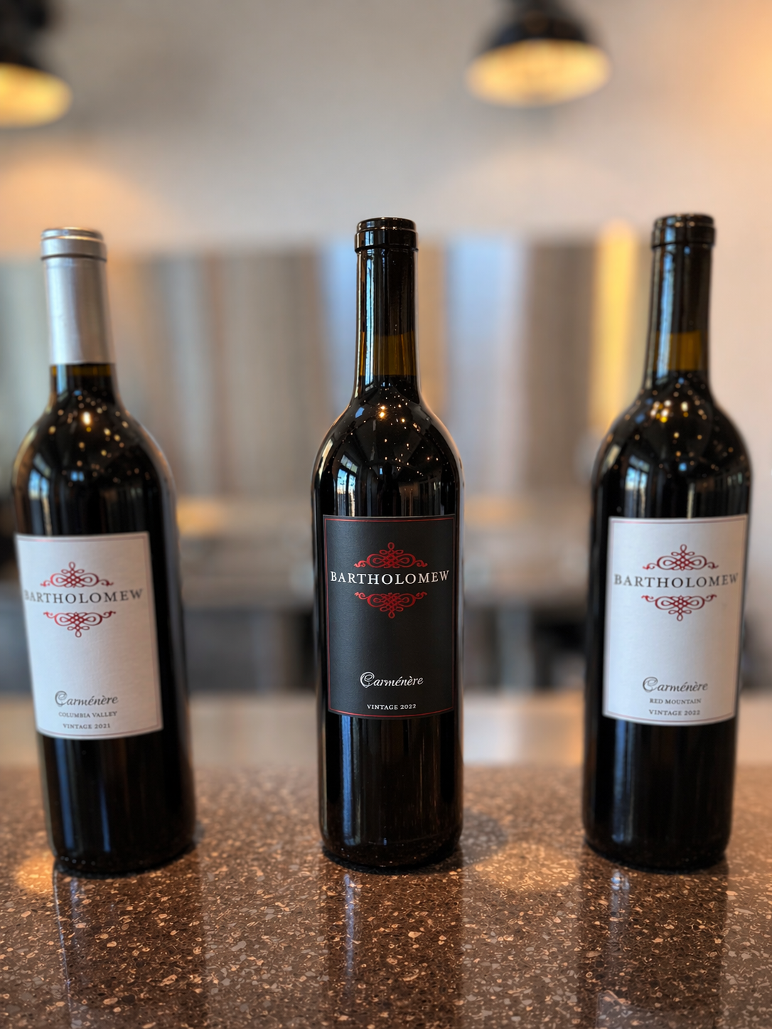 A lineup of Carménère wine bottles, ready for the custom wine labels that feature our Founding Circle members' names.