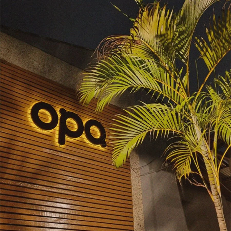 Placa de madeira com a palavra 'opa' iluminada ao lado de uma planta tropical.