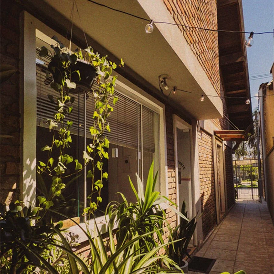 Corredor com plantas na frente de uma janela e uma parede de tijolos, com luzes penduradas e uma porta ao fundo.