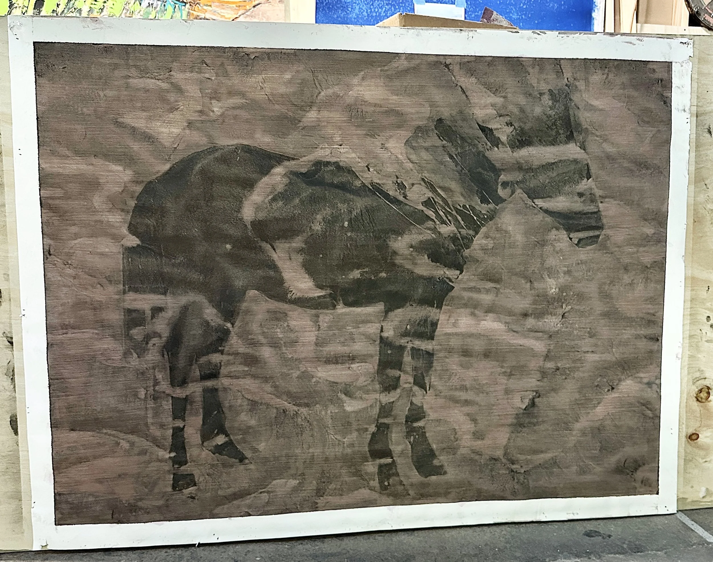 Numb Horse Charcoal Acrylic On Paper 50inx40in