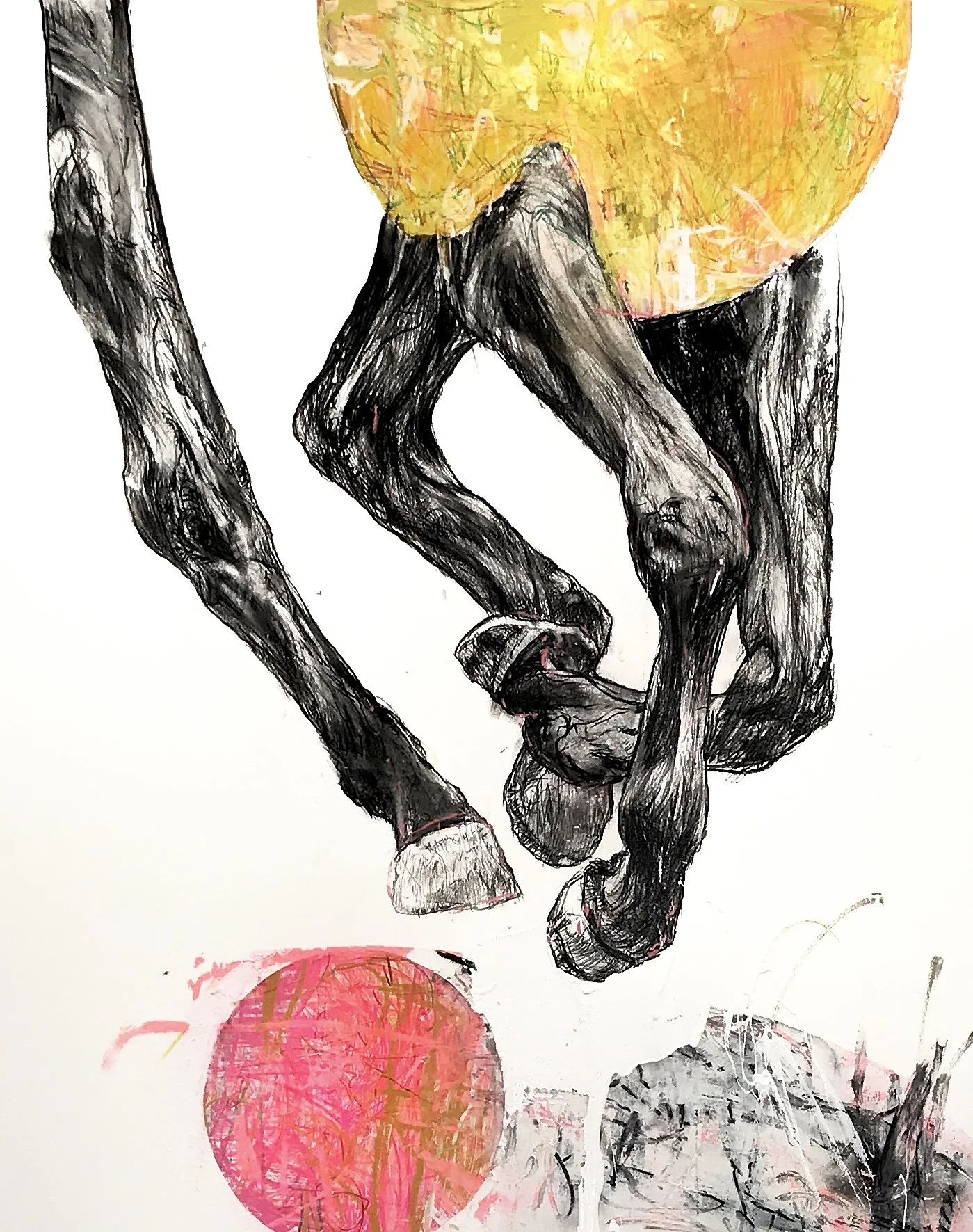 Horse 27 Oil Pastel Charcoal On Museum Board 32inx40in