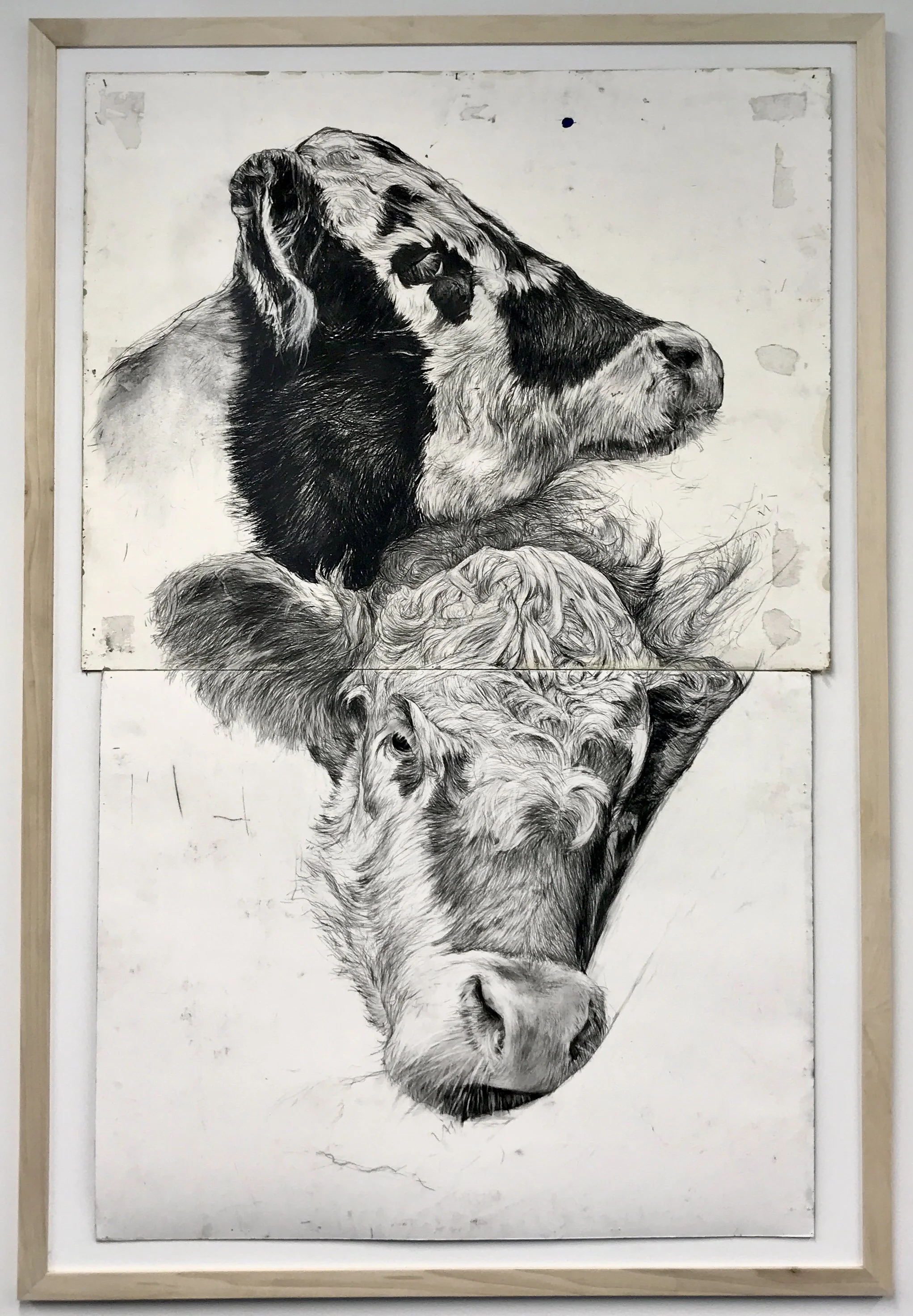 For Love 23 Charcoal On Museum Board In 2 Parts 40inx64in