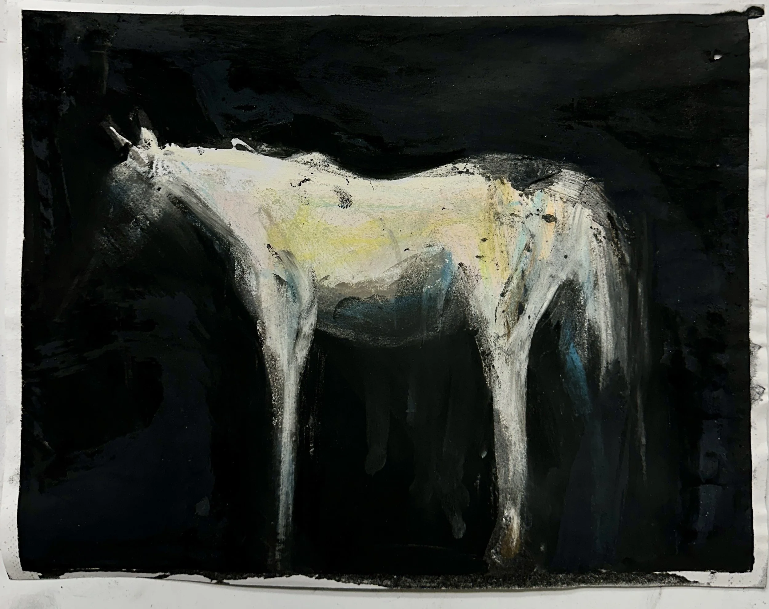 Horse 56 Charcoal Pastel 8inx10in 
