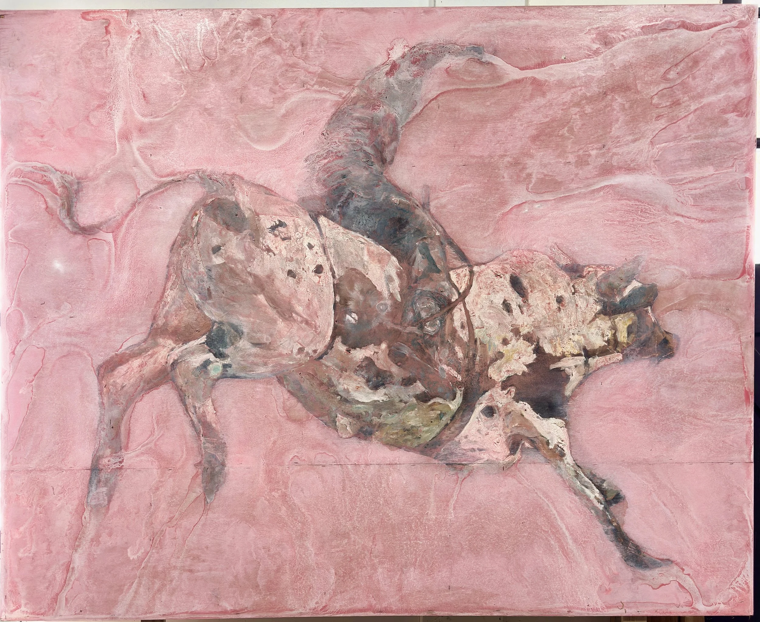 Rodeo 7 Oil On Wood 80inx67in
