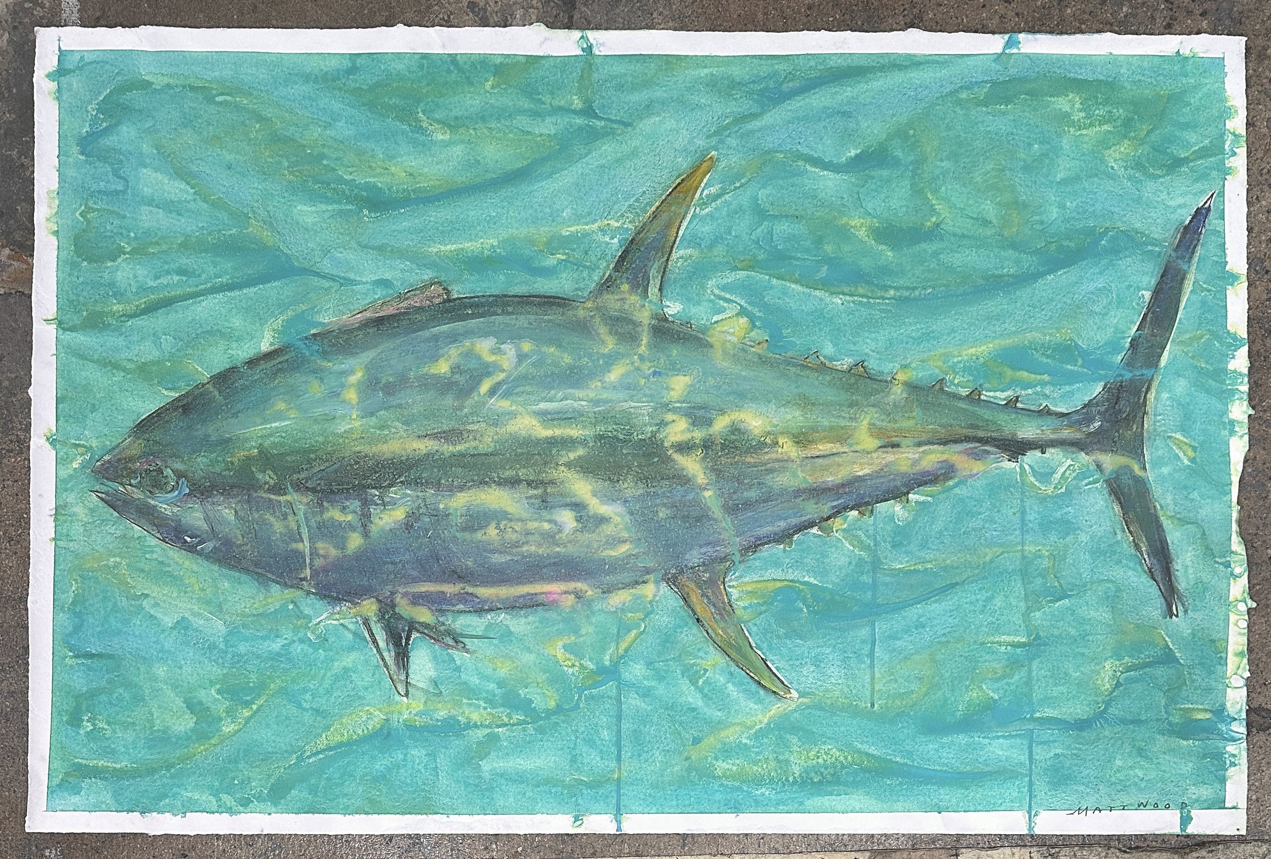 Tuna Charoal Acrylic On Paper 50inx36in