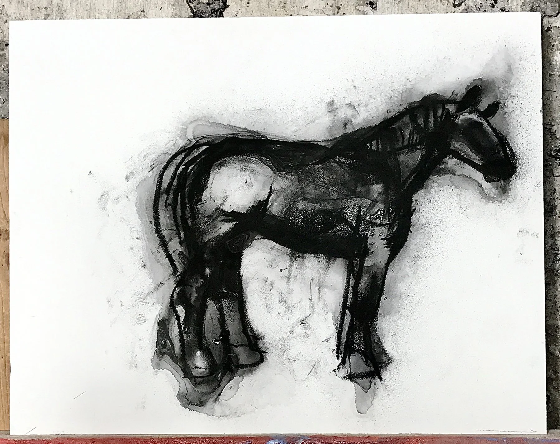 A Horse Charcoal On Paper 11inx14in