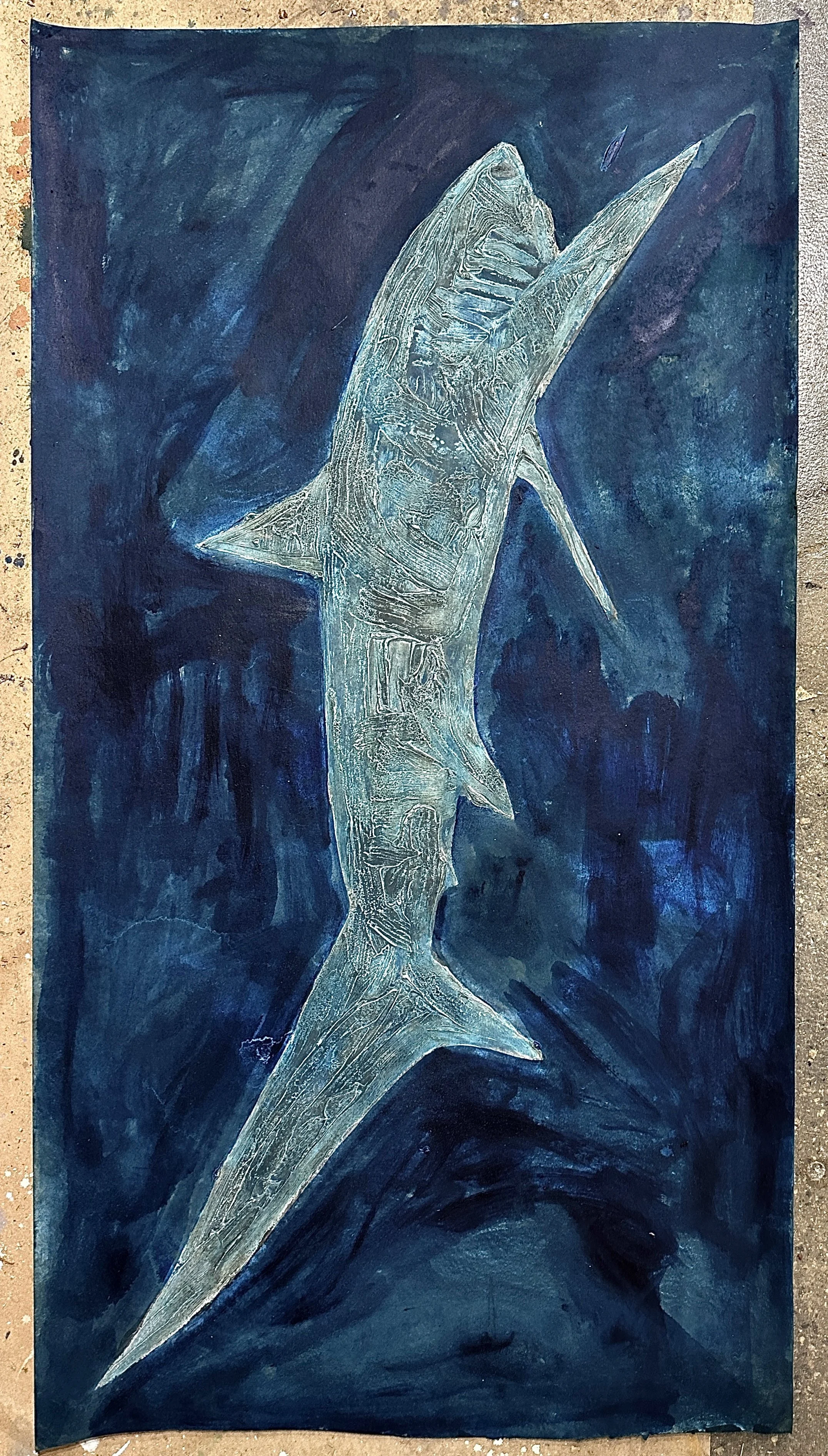 Shark 2 Plaster Acrylic On Used Jobsite Ramboard 60inx36in