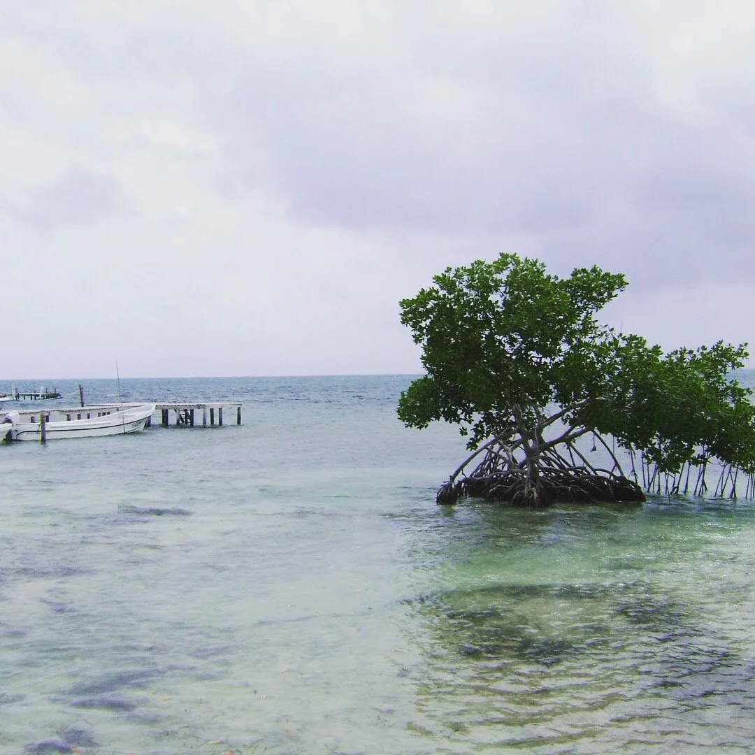 belize3.jpeg