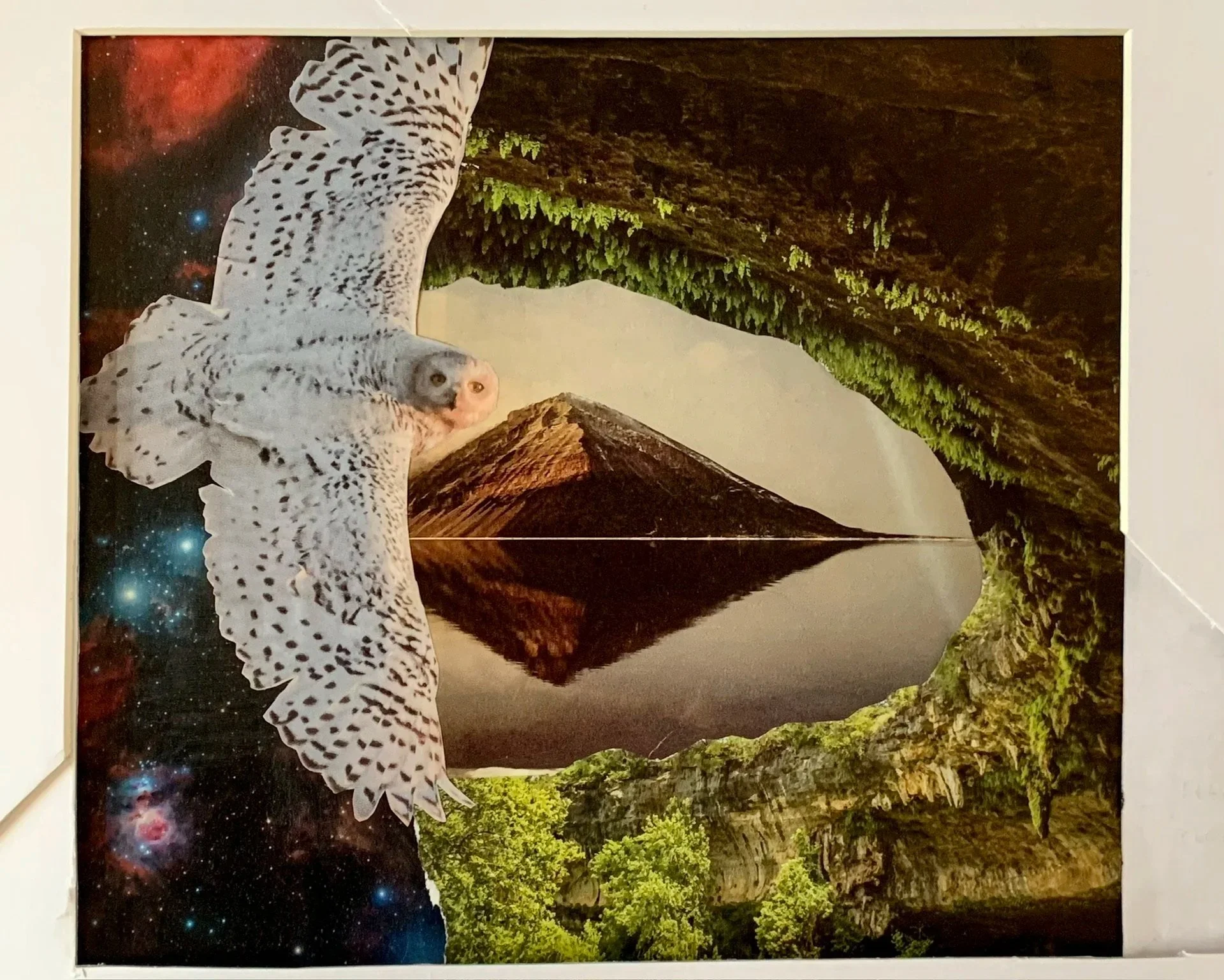 Collage_Seen.jpg