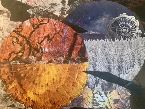 Collage, Sun & Moon