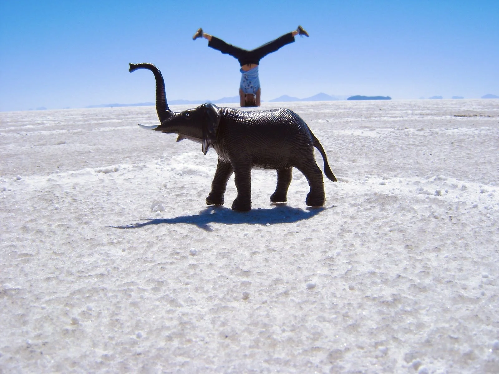 bolivia