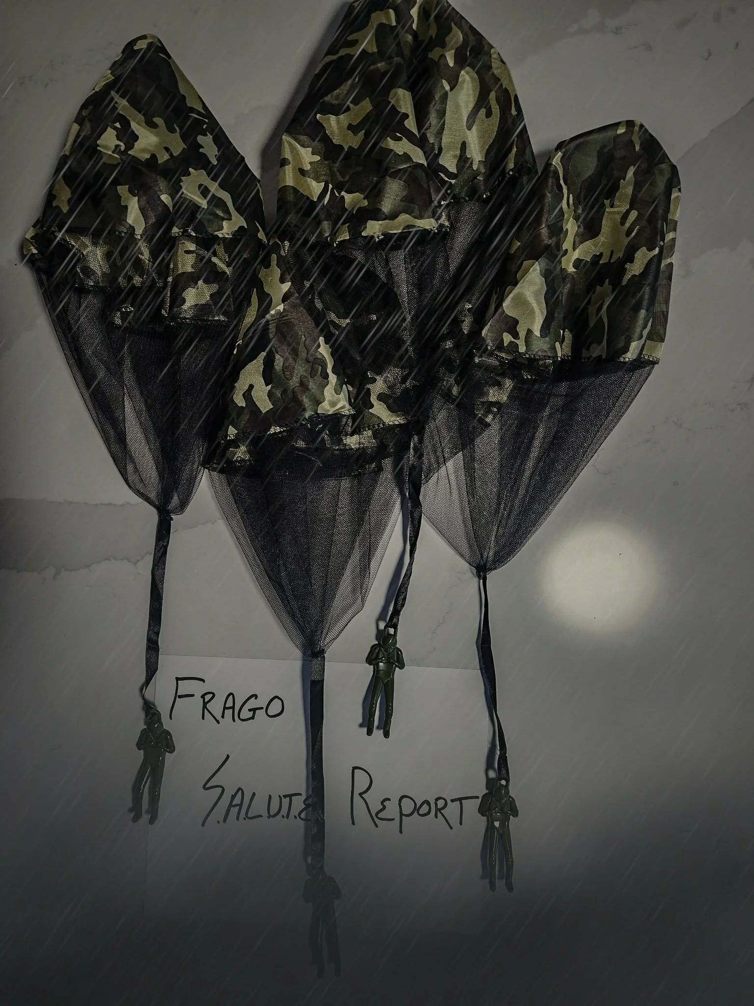 FRAGO - S.A.L.U.T.E. Report