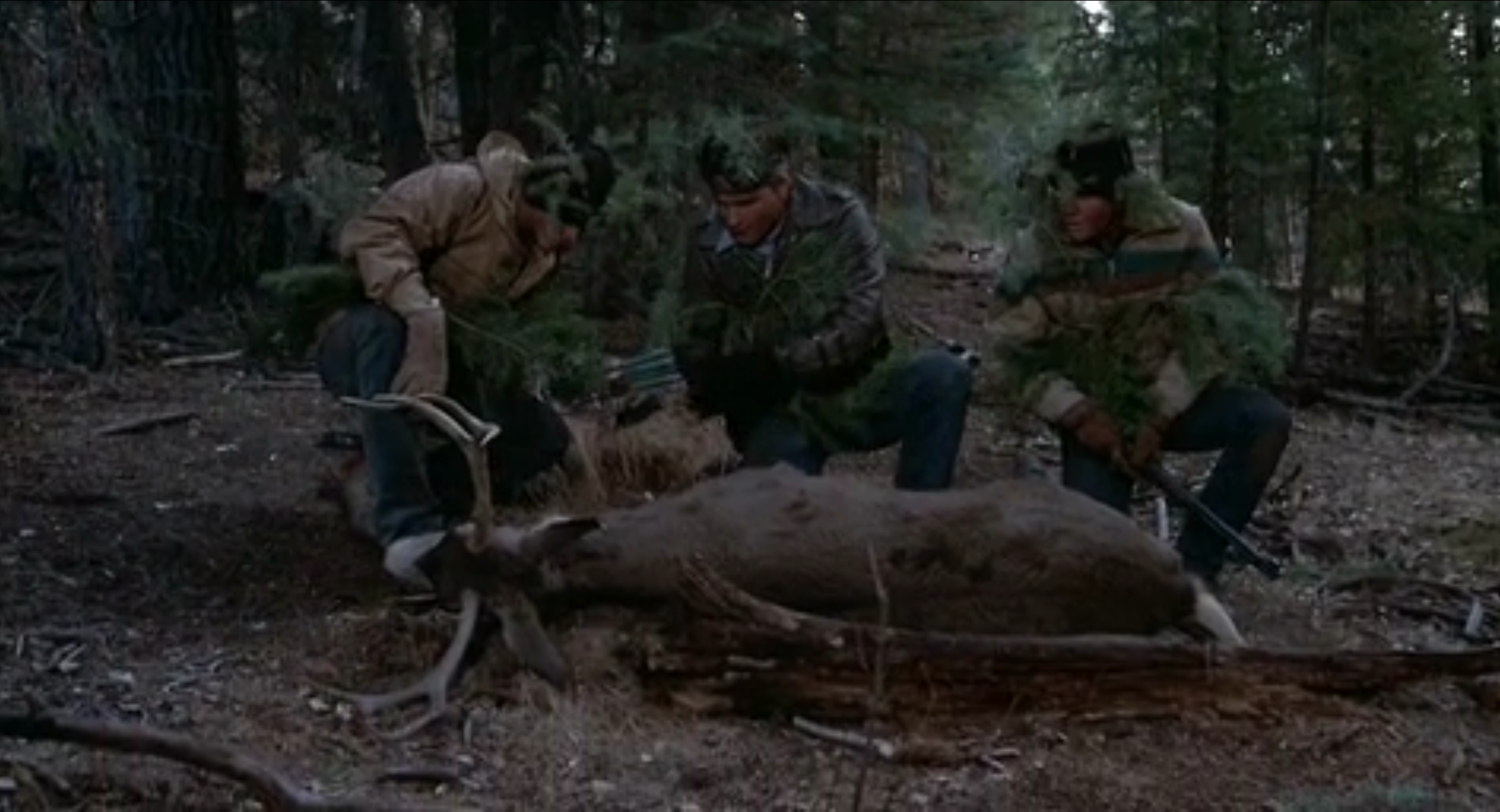 '“Never Shoot Twice.”