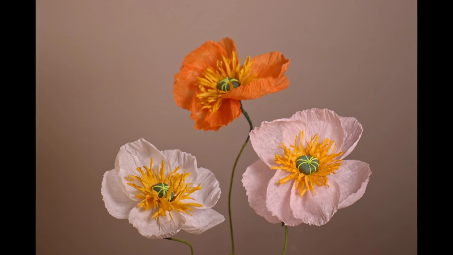 Paper Icelandic Poppy