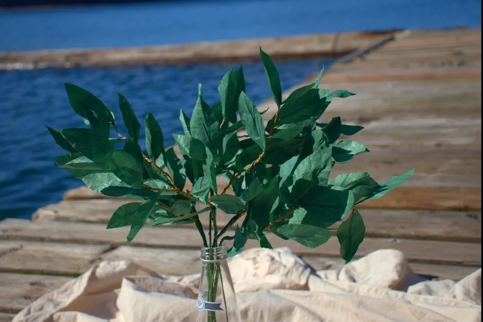 ruscus00216943.jpg