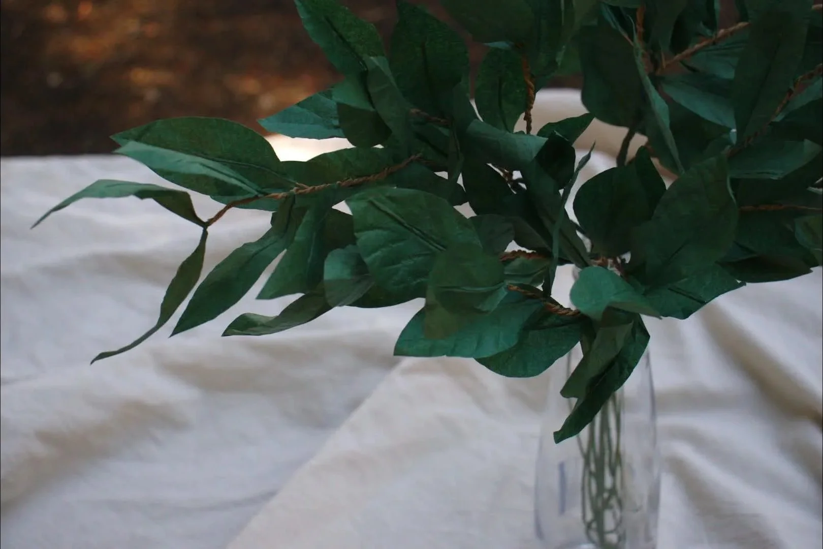 ruscus00216945.jpg