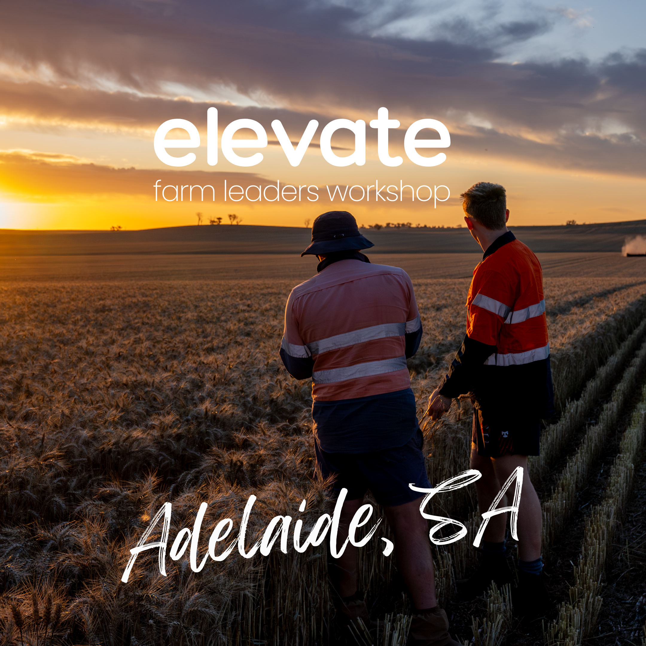 Adelaide, SA