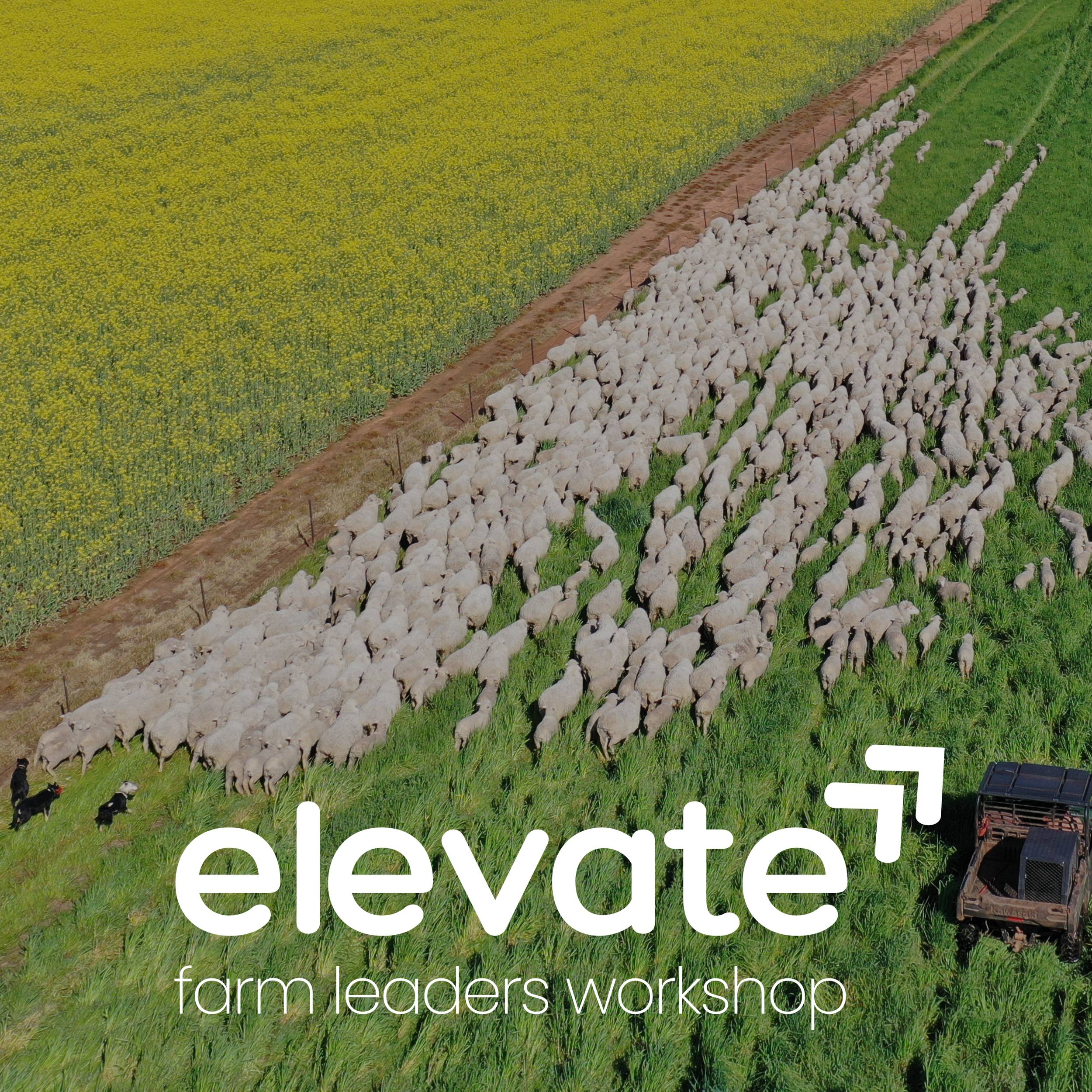 Elevate Farm Teams