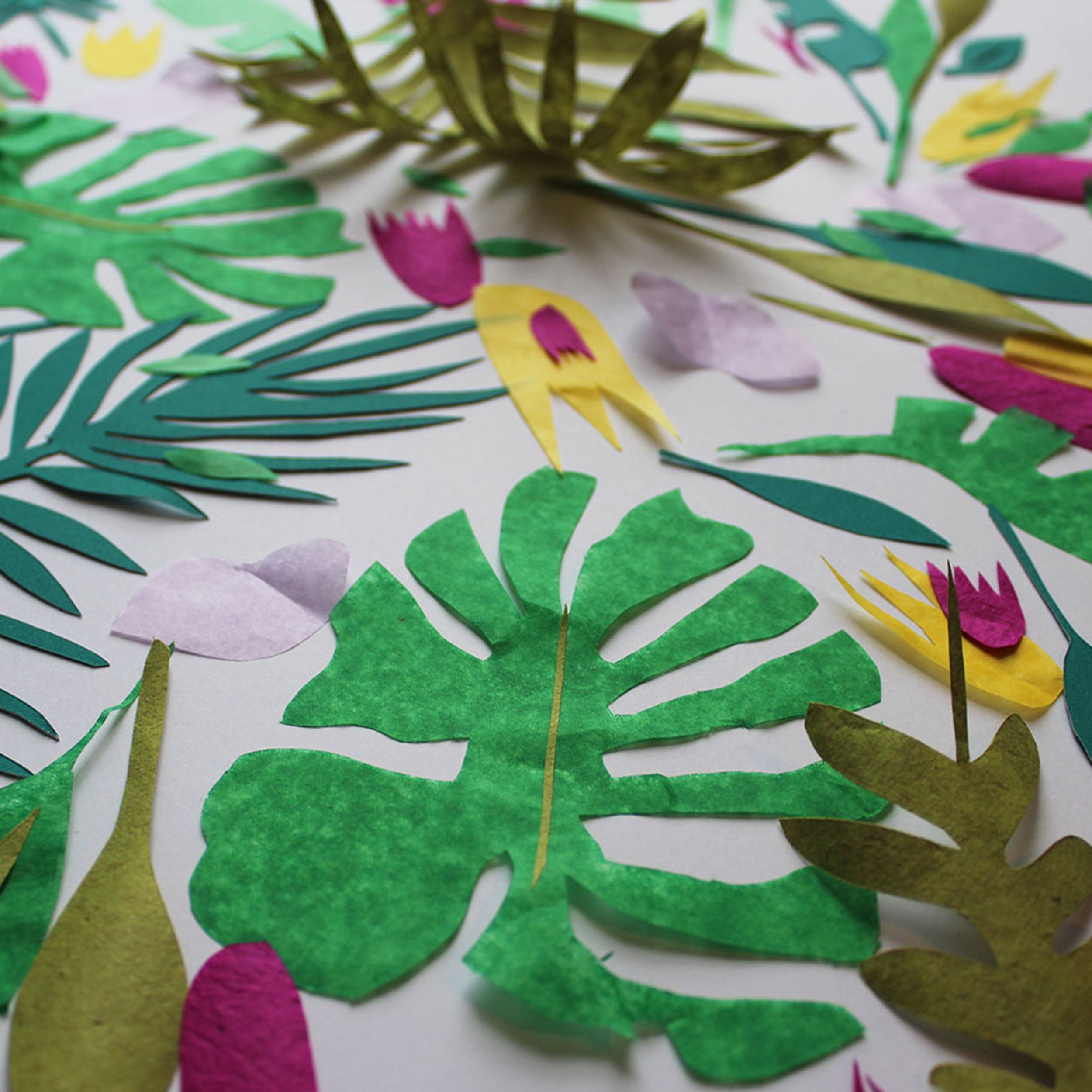 Tropical paper cut outs_nd_2017.jpg