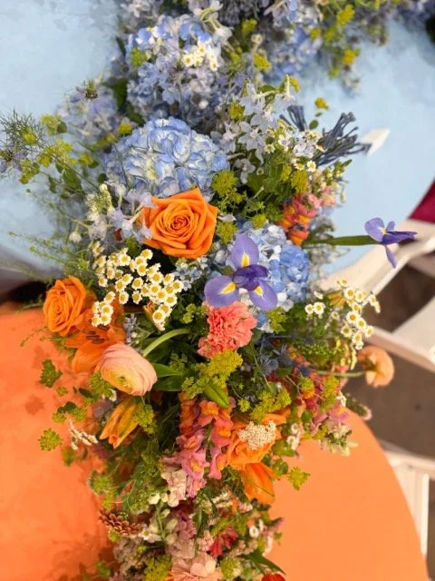 IMG_4637 (1) Medium.jpeg