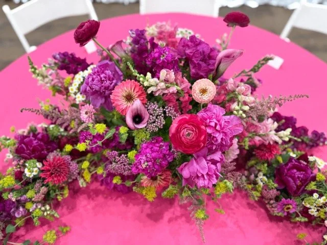 IMG_4640 Medium.jpeg