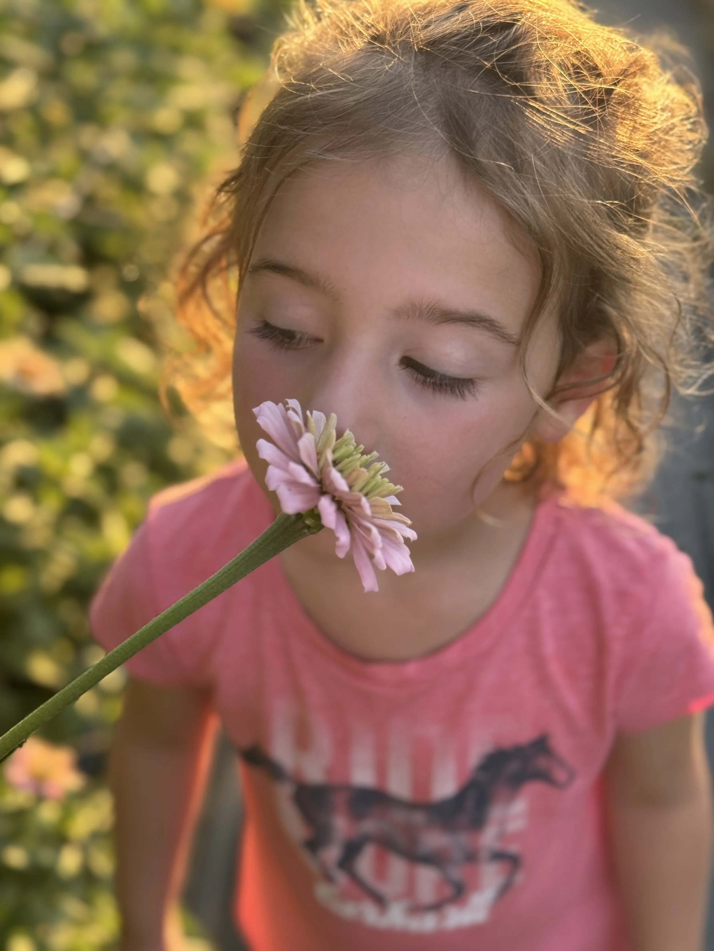 Young girl with curly hair smelling a pink flower outdoors at sunset.