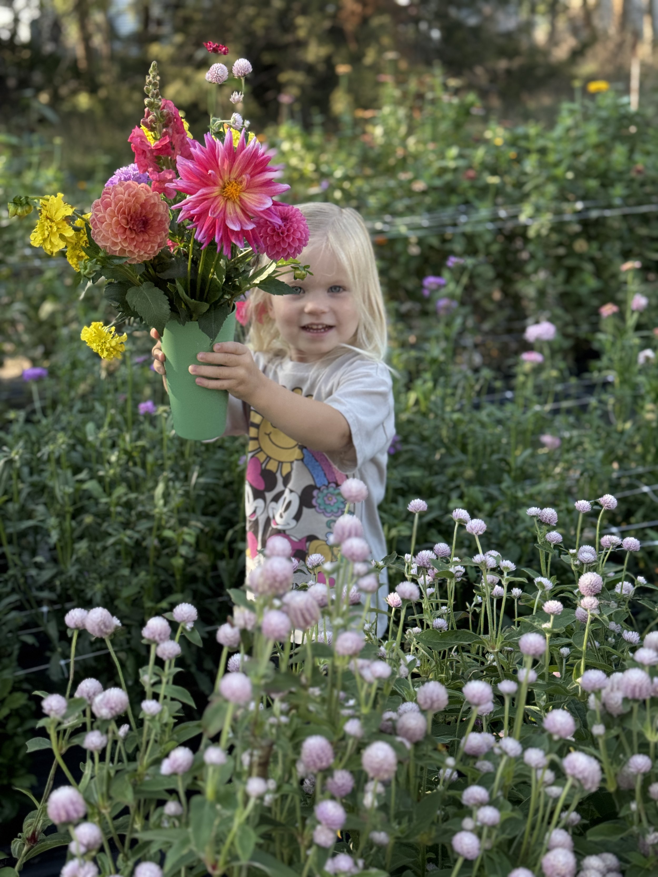 A young girl with blonde hair holding a green pot filled with pink, yellow, and white flowers in a garden surrounded by various pink and purple flowers.