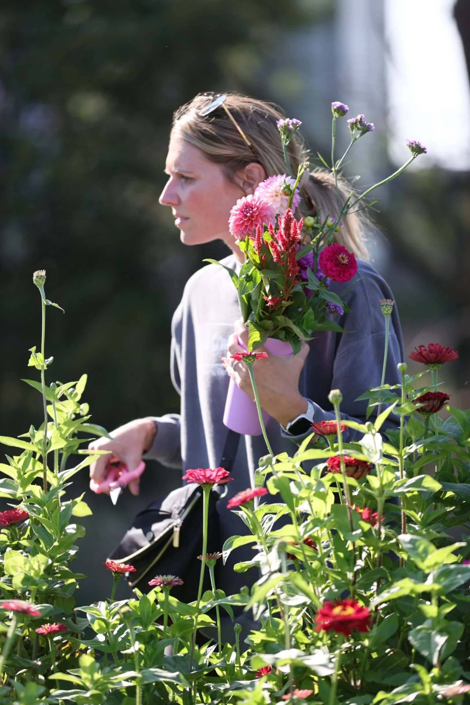 A woman with sunglasses on her head and a smartwatch on her wrist holds a bouquet of pink and purple flowers in one hand and pruning shears in the other, standing among pink flowers in a garden during daylight.