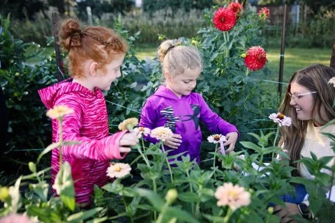 Three young girls in a garden with flowers, examining and picking flowers together.