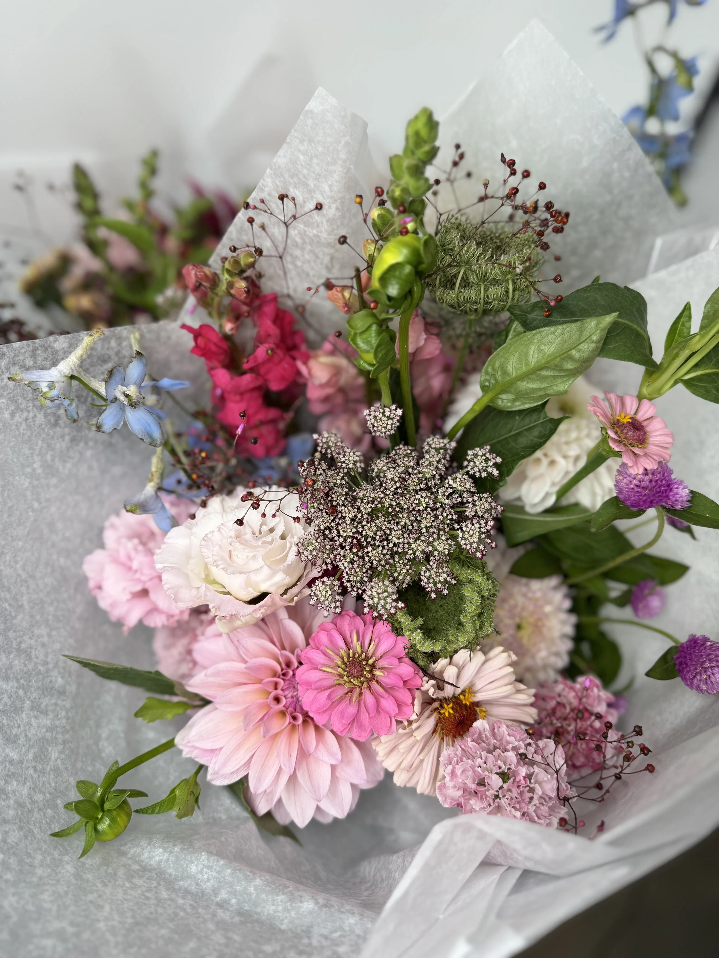 3 Season Subscription