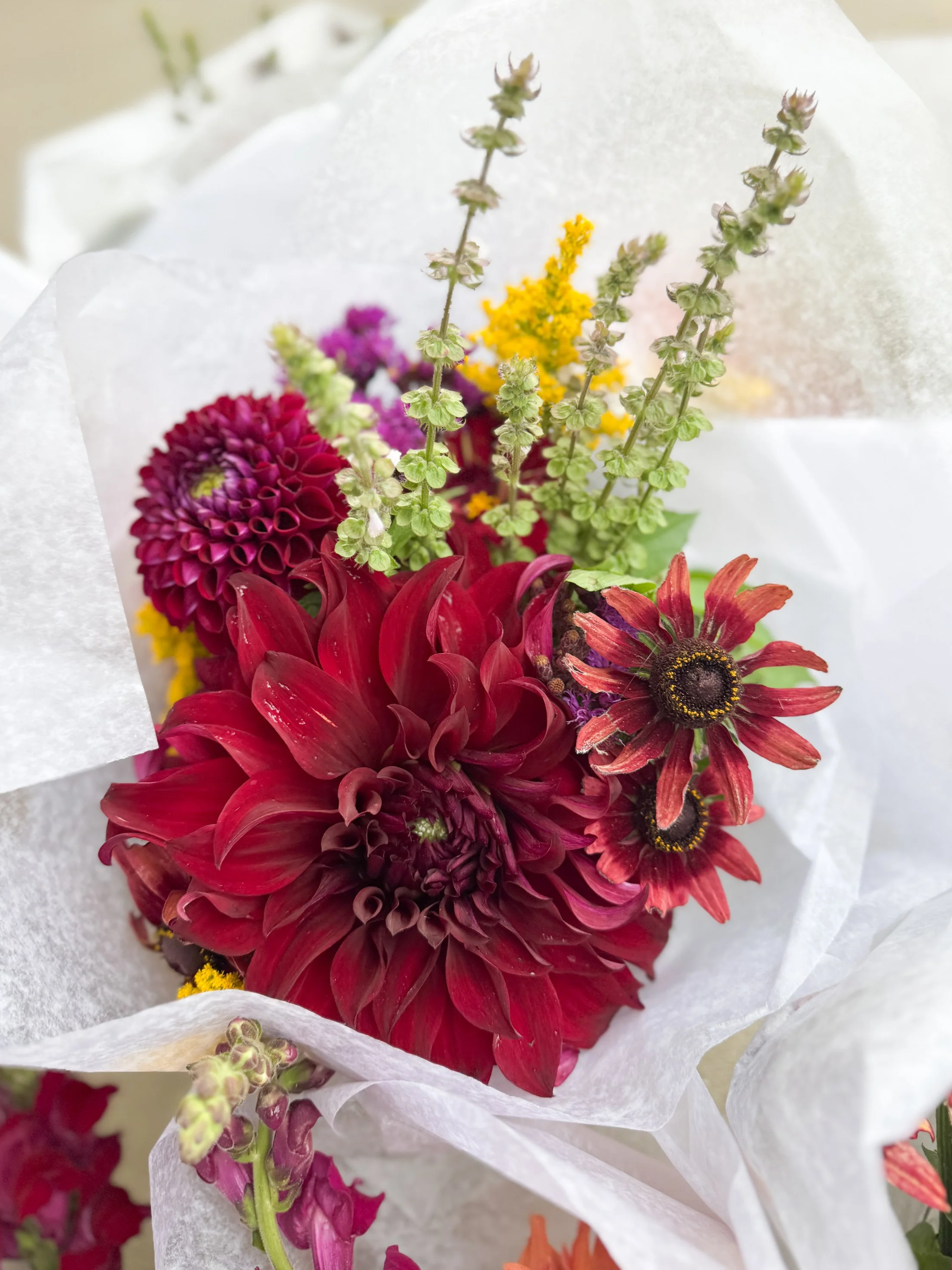 6 Week Summer Subscription