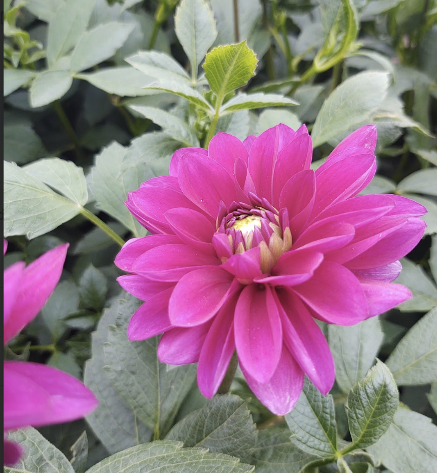 Screenshot 2026-01-29 at 11.45.06 PM.png